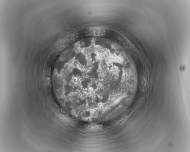 X0000093580553200710291104