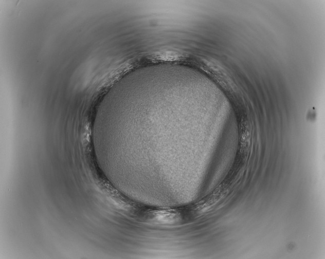 X0000093580555200710291104