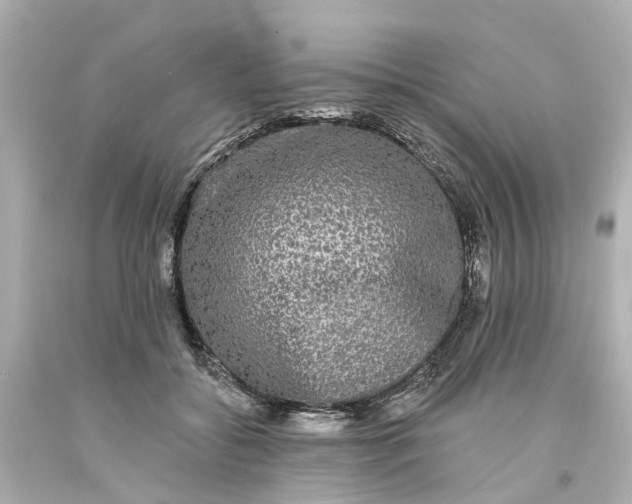 X0000093580556200710291104