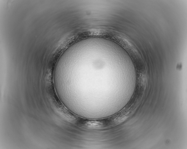 X0000093580557200710291104