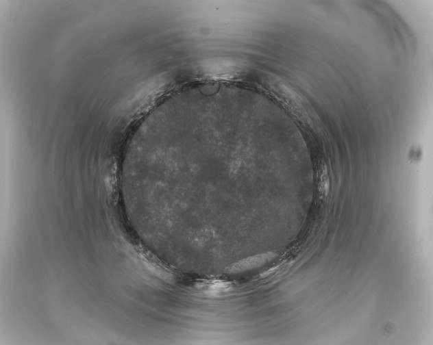 X0000093580559200710291104