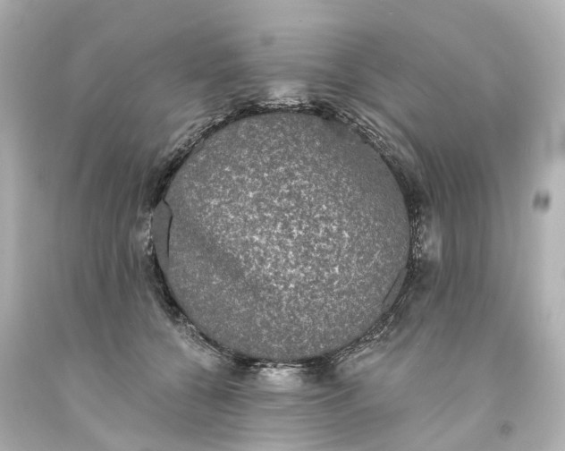 X0000093580560200710291104