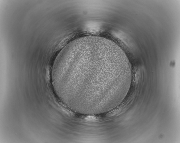 X0000093580562200710291104