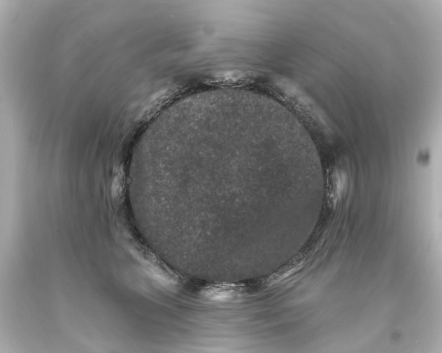 X0000093580563200710291104