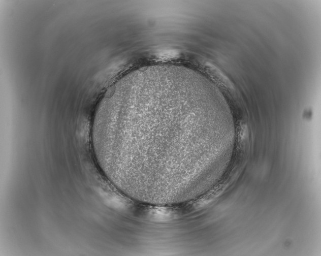 X0000093580565200710291104