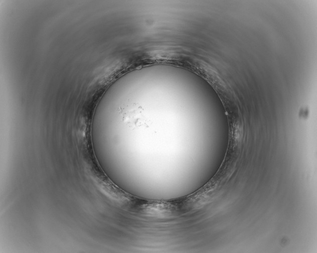 X0000093580567200710291104