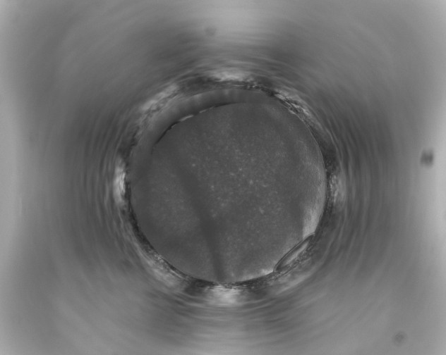 X0000093580570200710291104