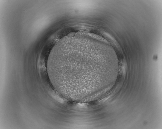 X0000093580573200710291104