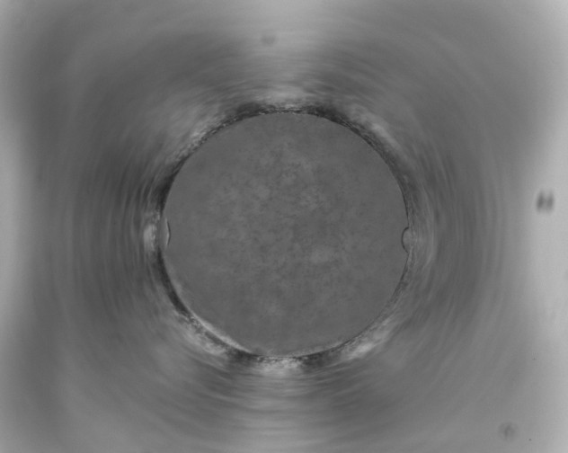 X0000093580576200710291104