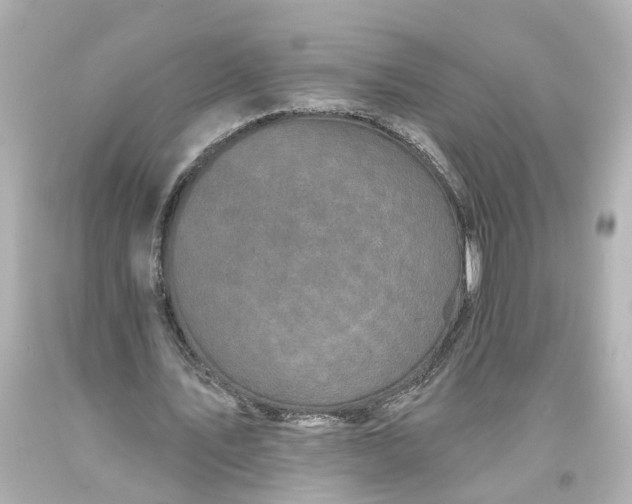 X0000093580579200710291103