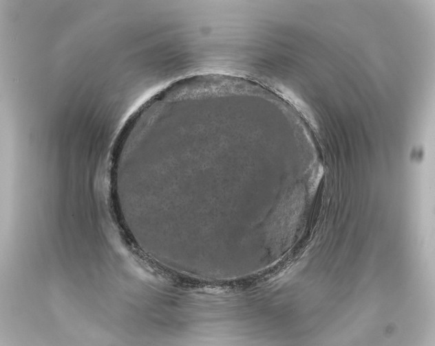 X0000093580580200710291103