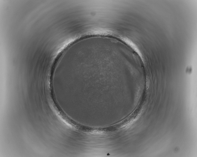 X0000093580581200710291103