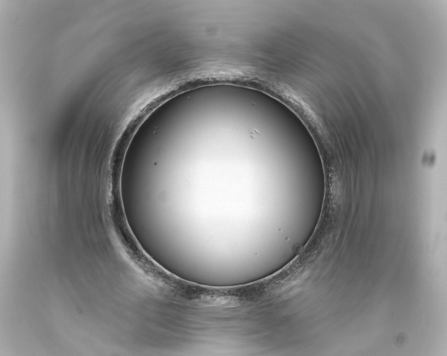 X0000093580582200710291103