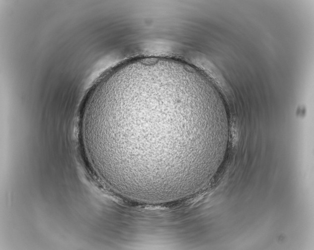 X0000093580583200710291103