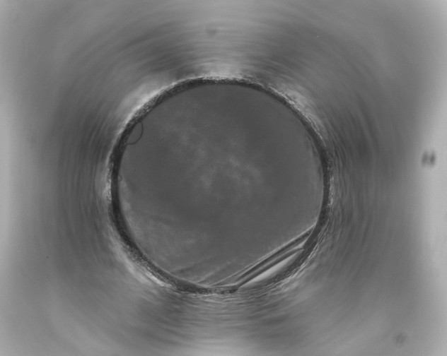 X0000093580584200710291103