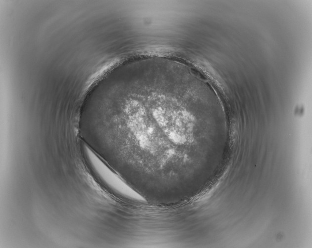 X0000093580585200710291103