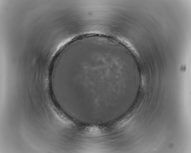 X0000093580588200710291103