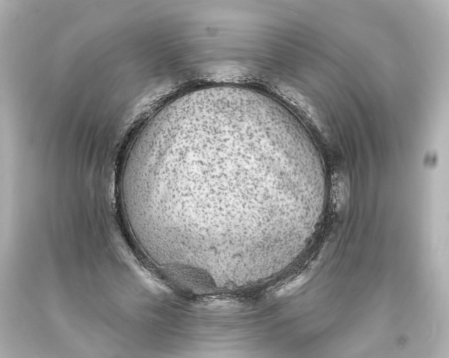 X0000093580589200710291103