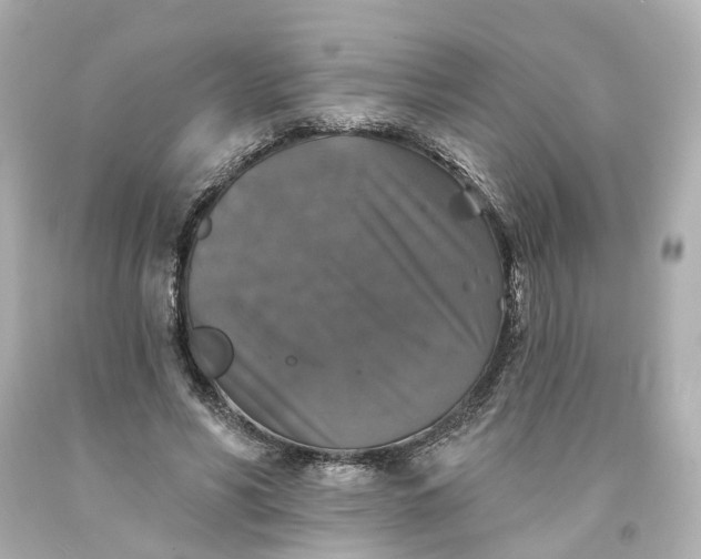 X0000093580590200710291103