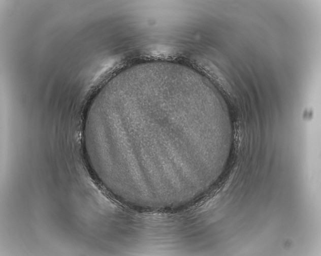 X0000093580593200710291103