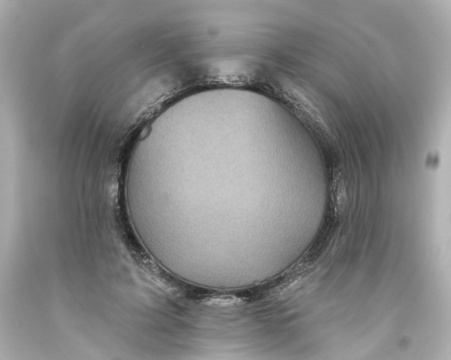 X0000093580595200710291103