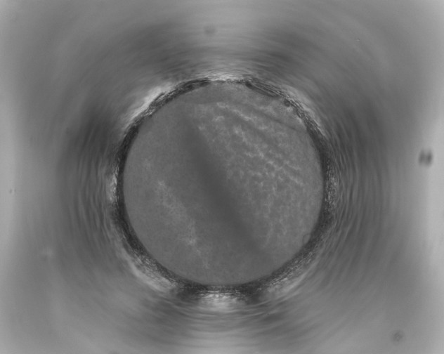 X0000093580596200710291103