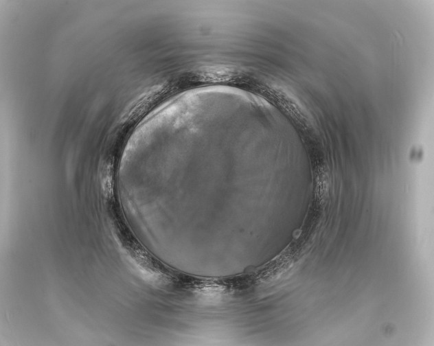 X0000093580598200710291103