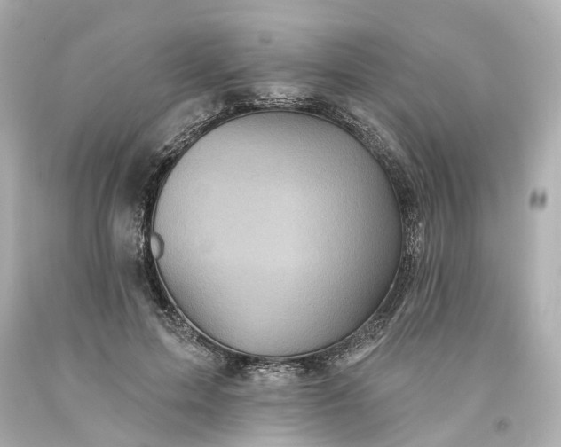 X0000093580599200710291103