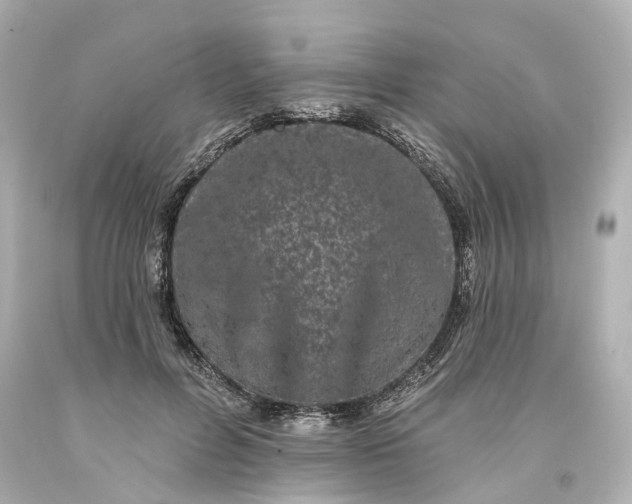 X0000093580600200710291103