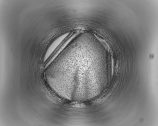 X0000093580601200710291103