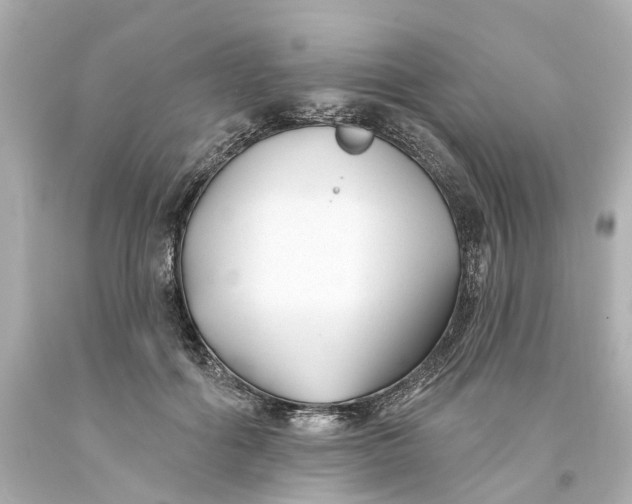 X0000093580602200710291103