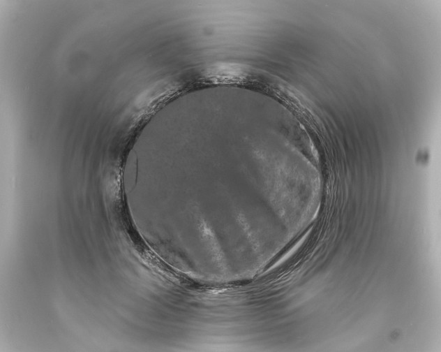 X0000093580604200710291103