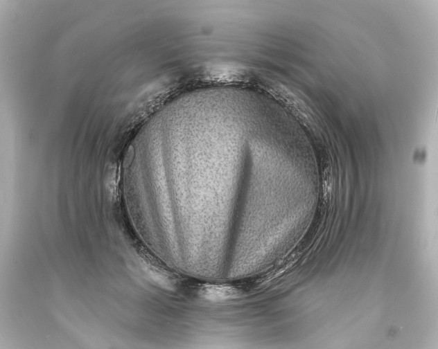 X0000093580605200710291103