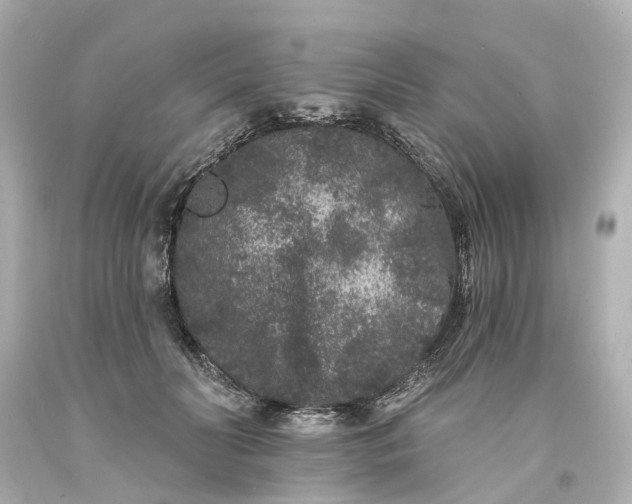 X0000093580606200710291103