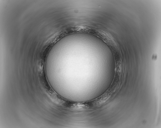 X0000093580607200710291103