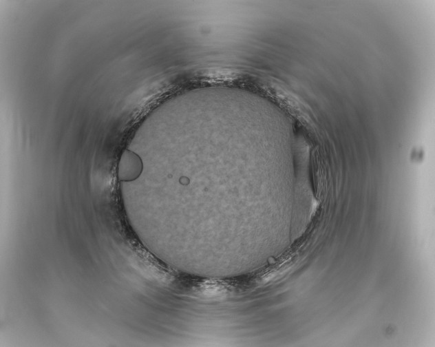 X0000093580608200710291103