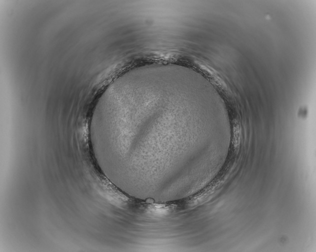 X0000093580613200710291103