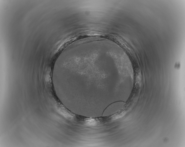 X0000093580616200710291103