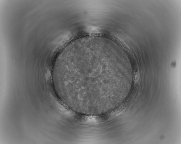 X0000093580618200710291103