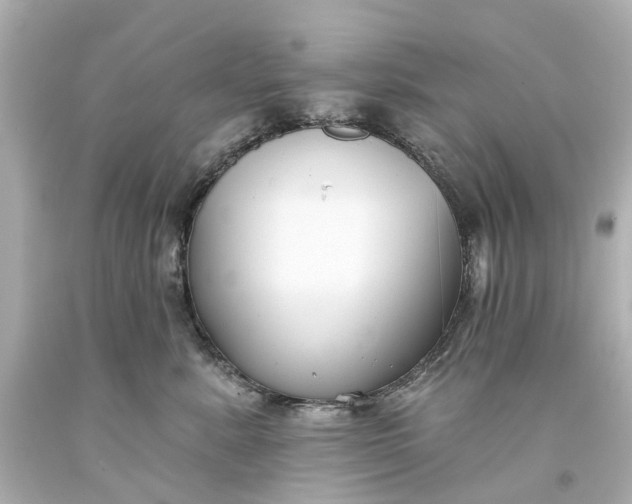 X0000093580619200710291103