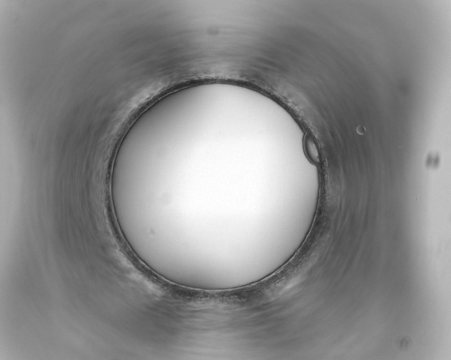 X0000093580625200710291102