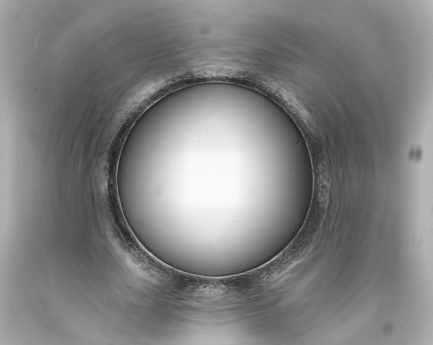 X0000093580631200710291102