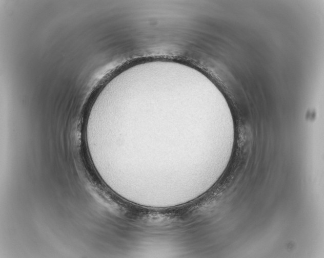 X0000093580632200710291102