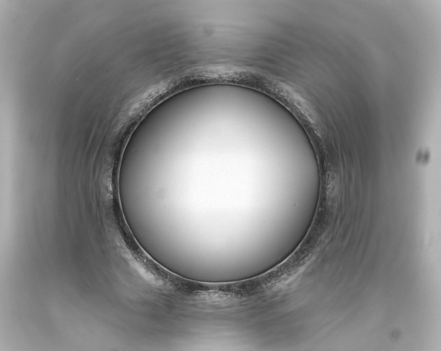 X0000093580633200710291102