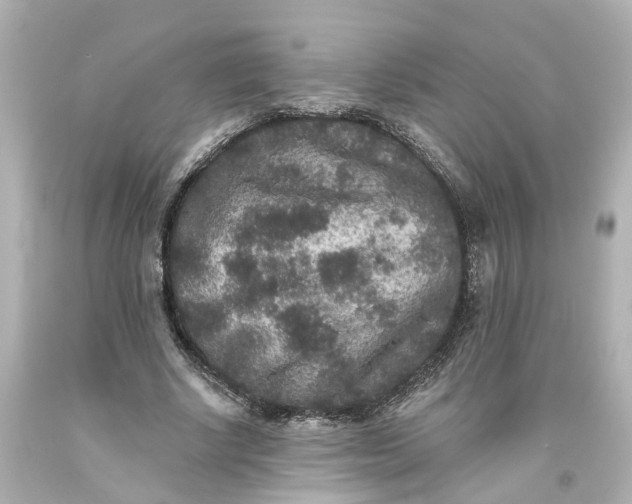 X0000093580634200710291102