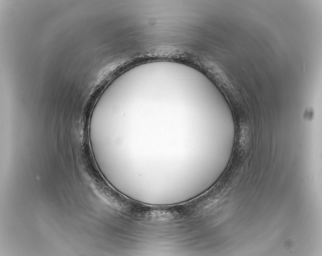 X0000093580636200710291102