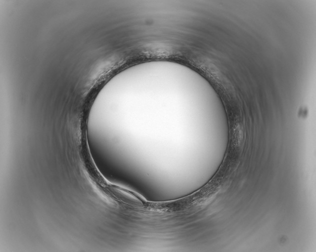 X0000093580638200710291102