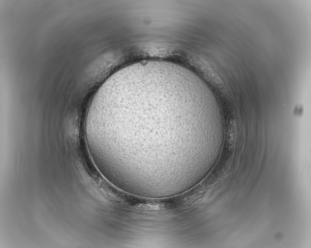 X0000093580639200710291102