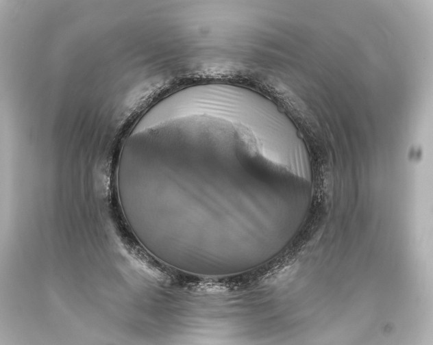 X0000093580640200710291102