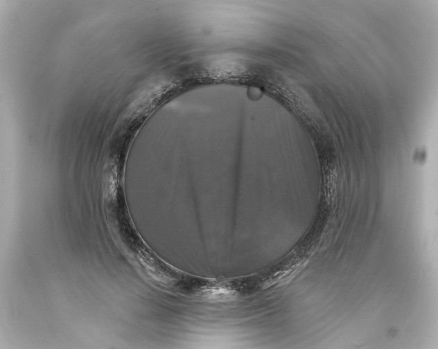 X0000093580644200710291102